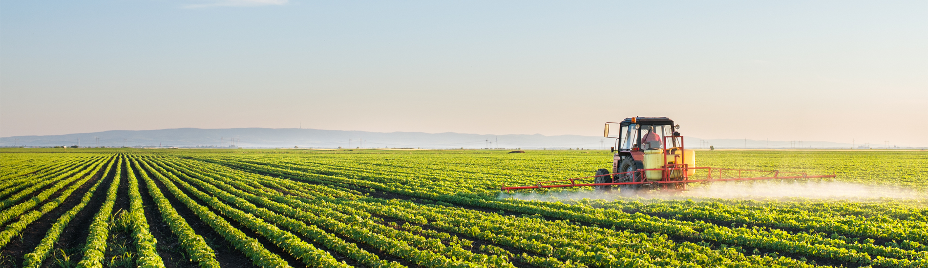 Tarım ve Hayvancılık Sektörü , Gelecek Vizyonu
